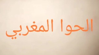 d985d8bad8b1d8a8d98ad8a9 d8a8d986d8aa d8b1d8a8d8a7d8b7 d987d8a7d98ad8ac d984d98ad987d8a7 d8add8b4d988d986 d8b3d983d8b3 d985d8bad8b1d8a8